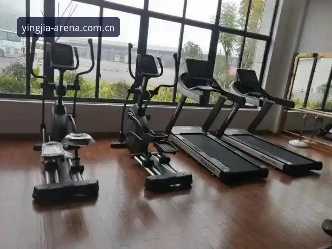 盈嘉体育平台下载问题处理指南：从故障排查到行业趋势分析